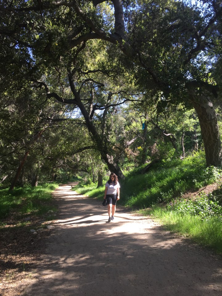 #20 One Huge&nbsp;Ramble