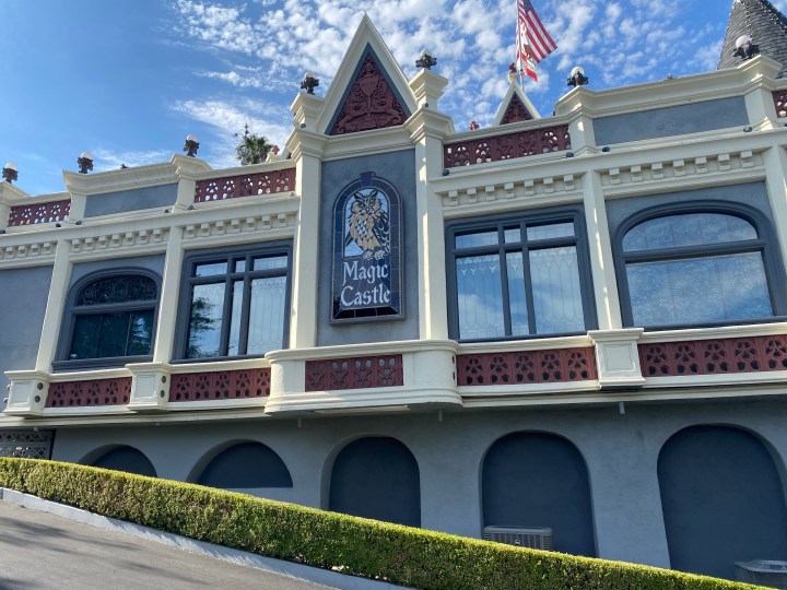 #246 expressing myself